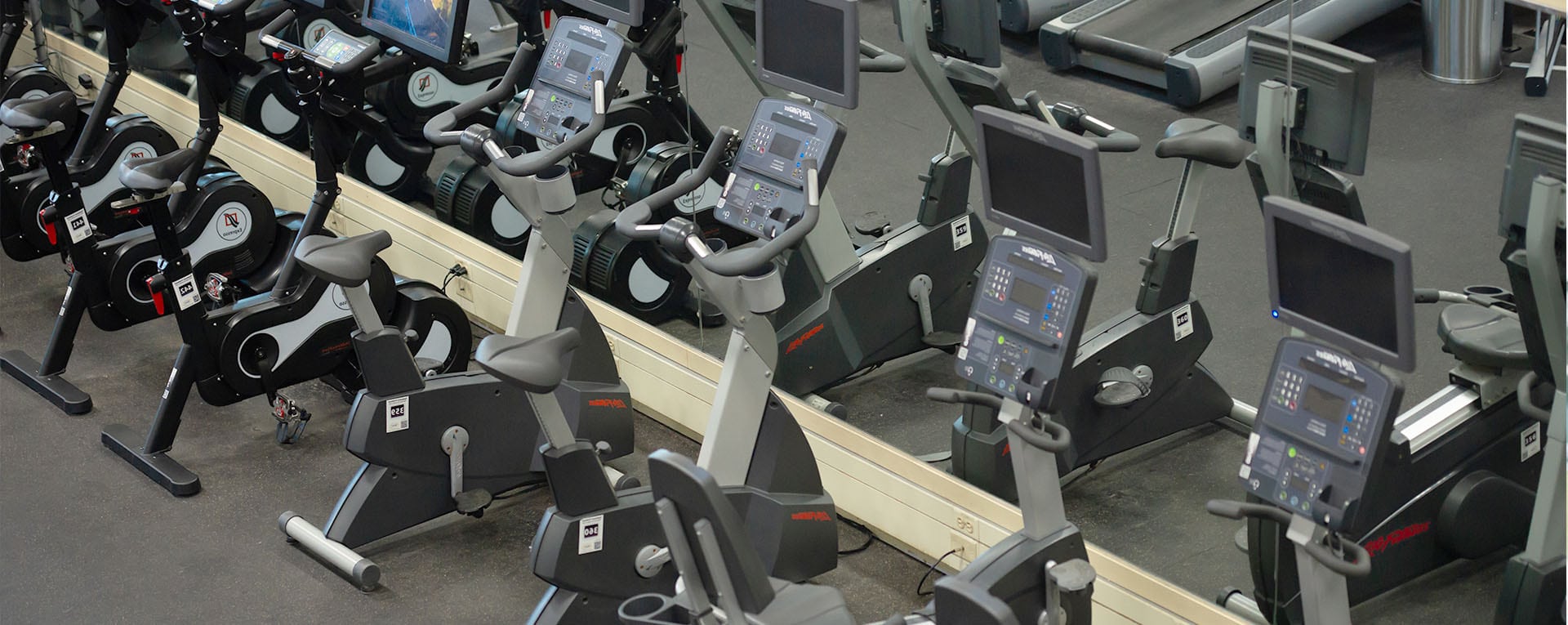 row of neatly placed cardio machines in a row